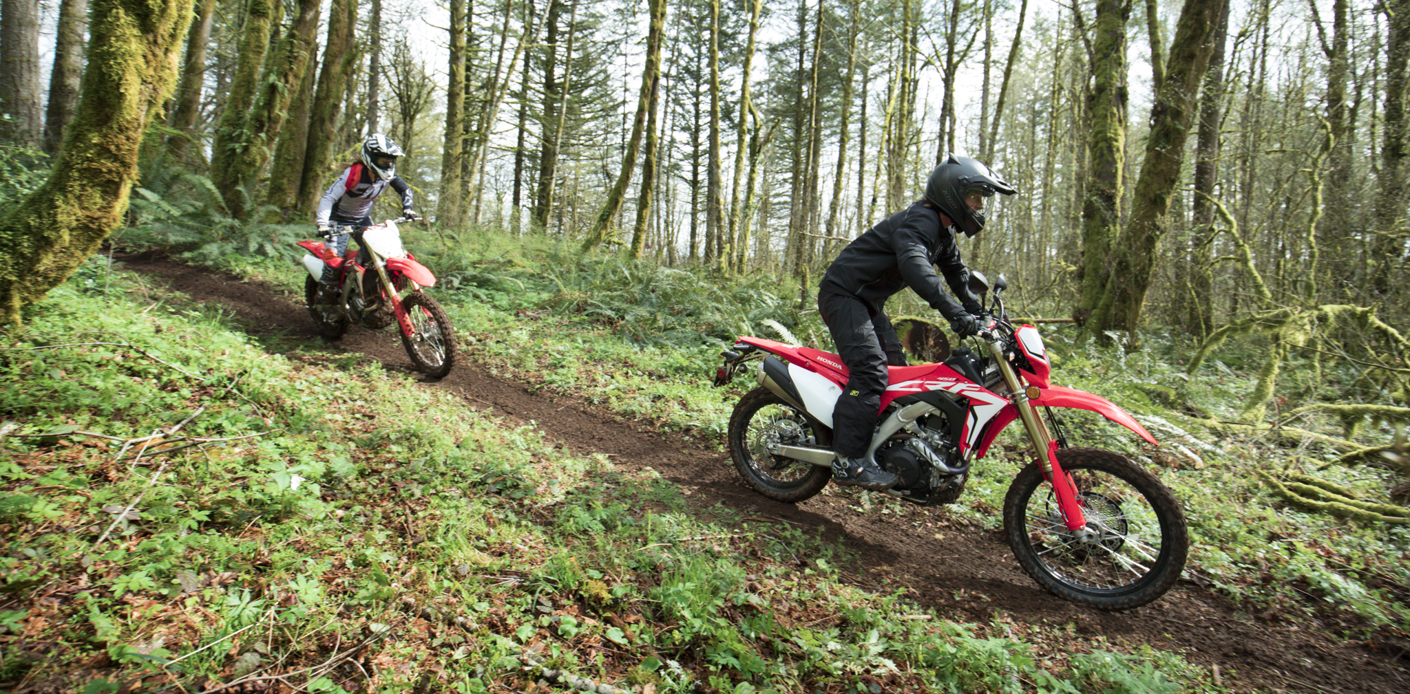 Mini bike clearance trail